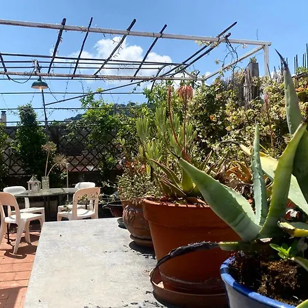 Apartamento Casaviva - With Terrace And Parking In Rapallo